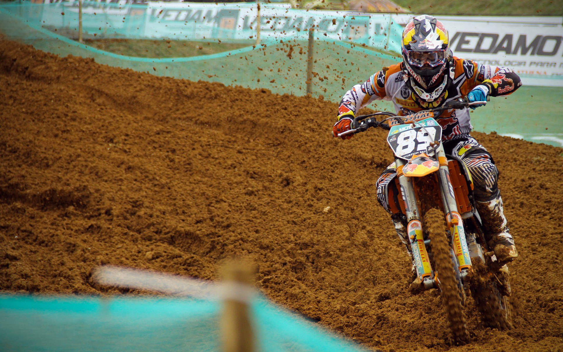 帕利斯特女子800米自由泳赛场亮点，女子800米自由泳2011